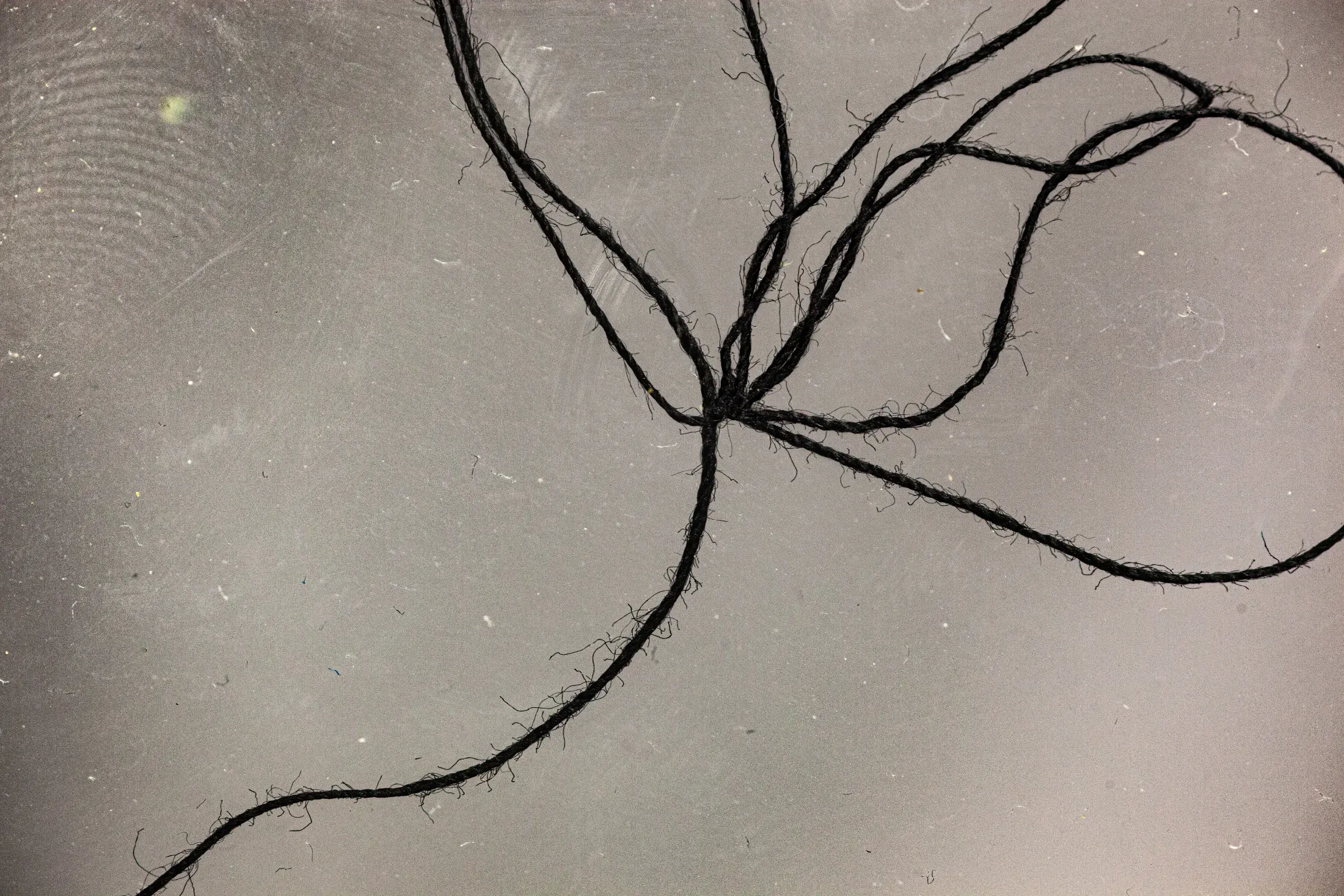 Black twine on a grey surface, several strands converging into one tight knot at the center and fanning out again toward the edges of the frame